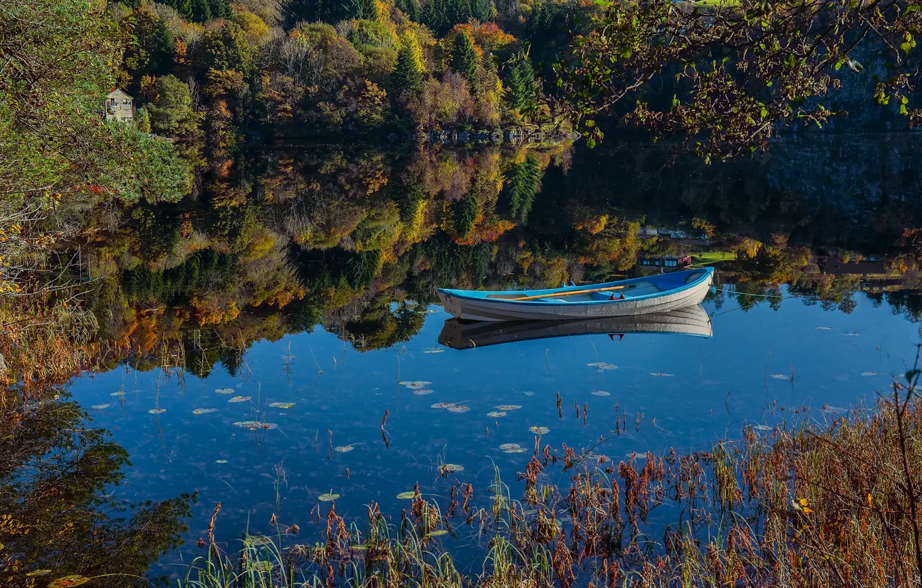 Фото обои лес, озеро, отражение, лодка, Норвегия, Norway, Hordaland, Saeterstolen