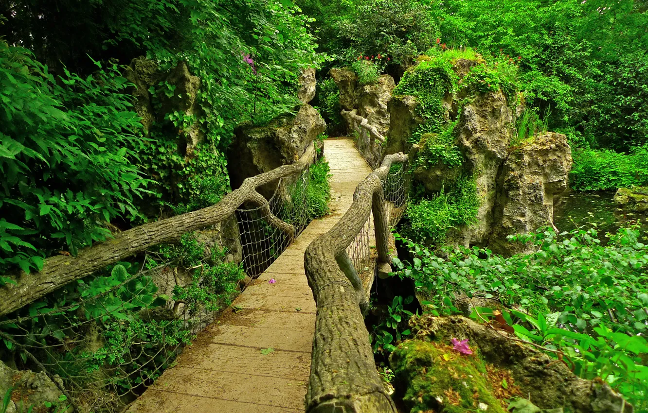 Фото обои зелень, листья, ветки, мост, пруд, камни, Франция, Париж