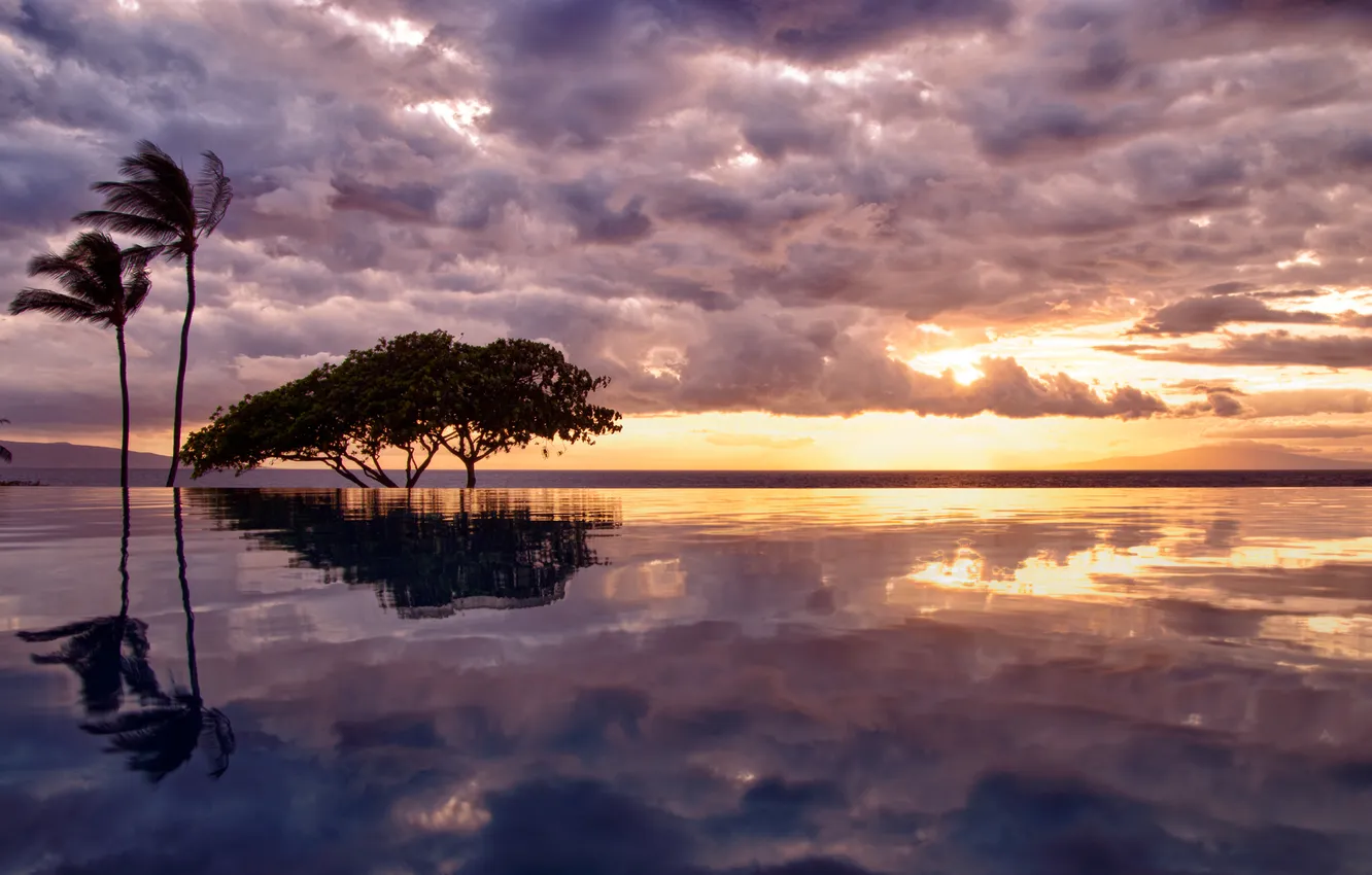 Фото обои море, небо, вода, облака, деревья, отражение, пальма, пальмы