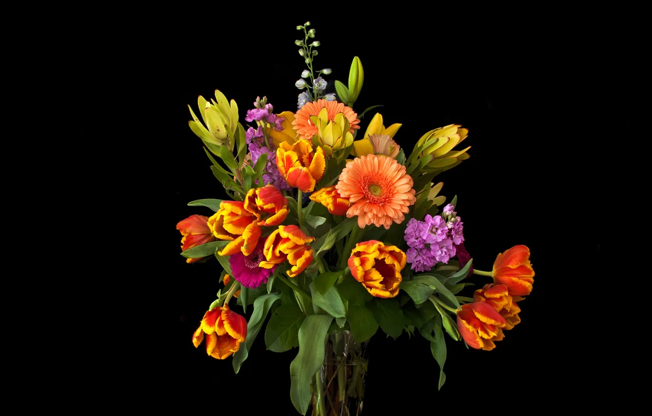 Фото обои цветы, букет, тюльпаны, ваза, черный фон, герберы, левкой, маттиола