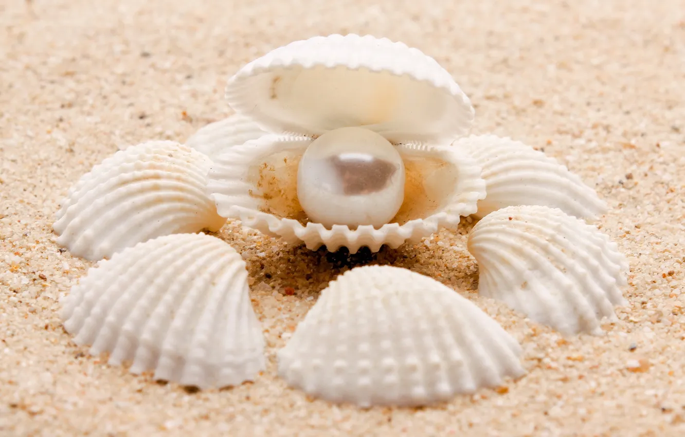 Фото обои песок, море, природа, sea, nature, pearl, sand, жемчужина
