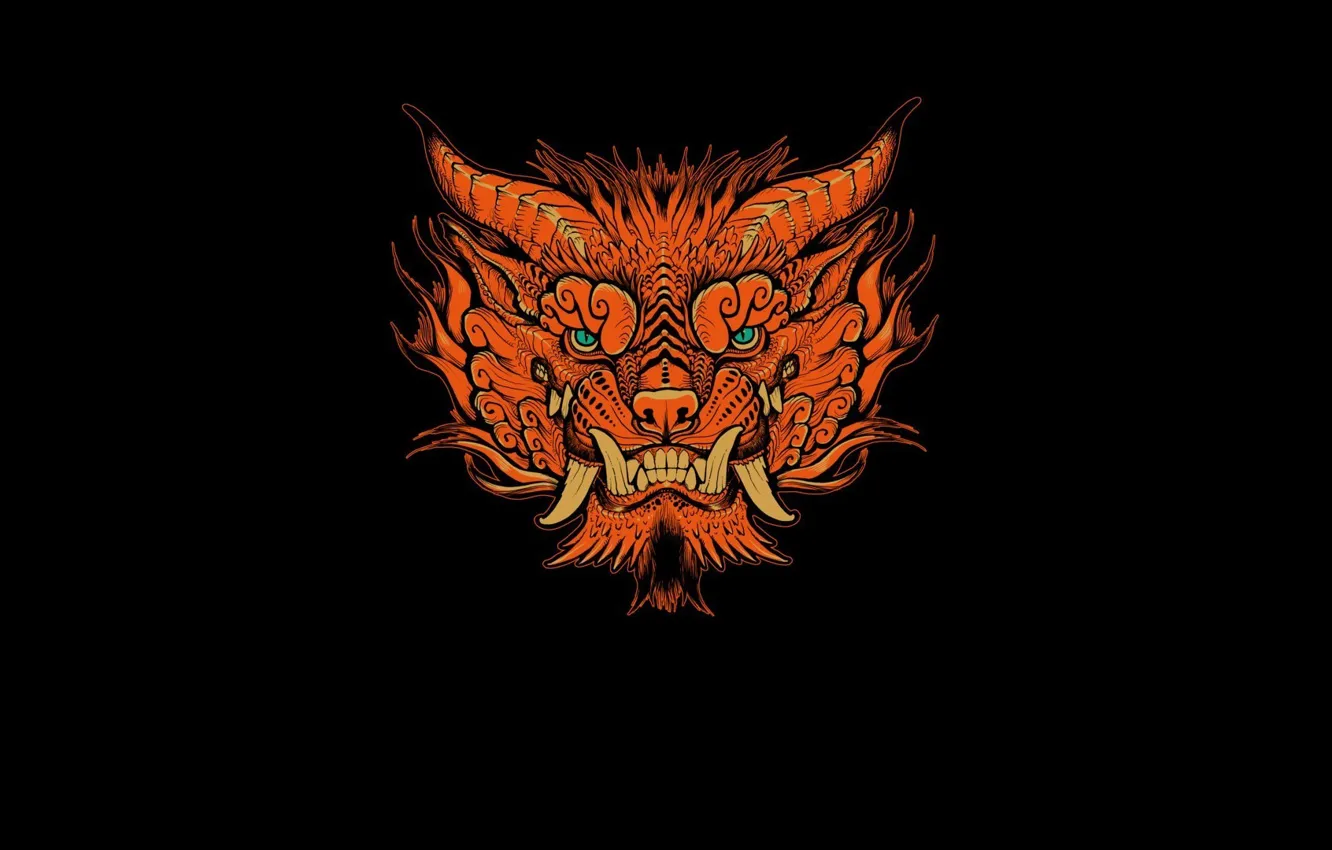 Фото обои морда, агрессия, foo dog