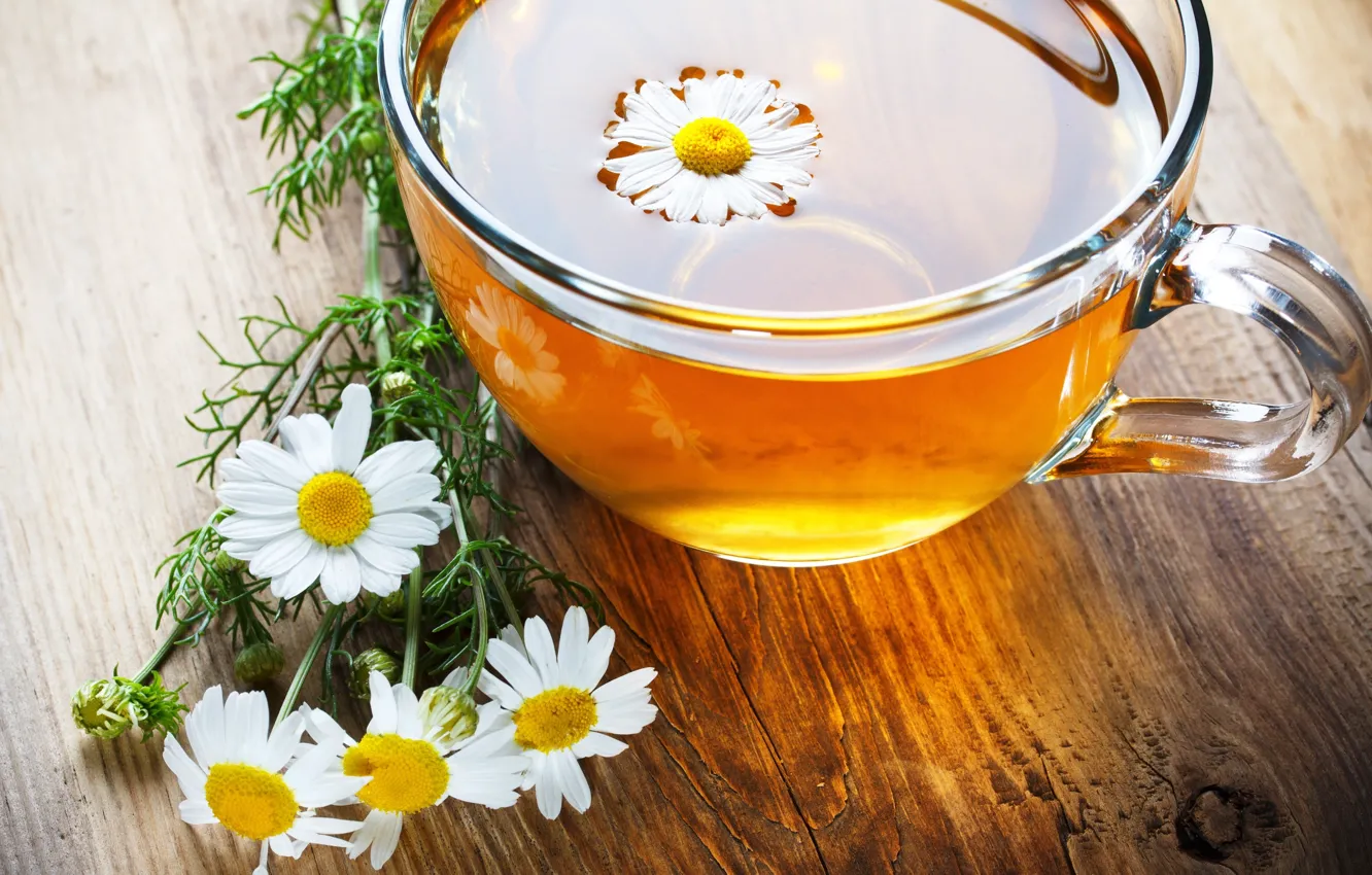 Фото обои цветы, фон, обои, чай, настроения, ромашка, кружка, чашка