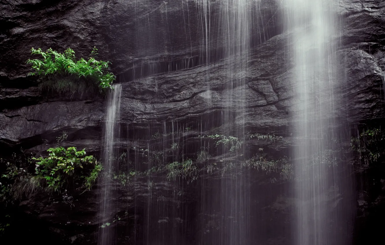 Фото обои природа, скала, водопад, кусты