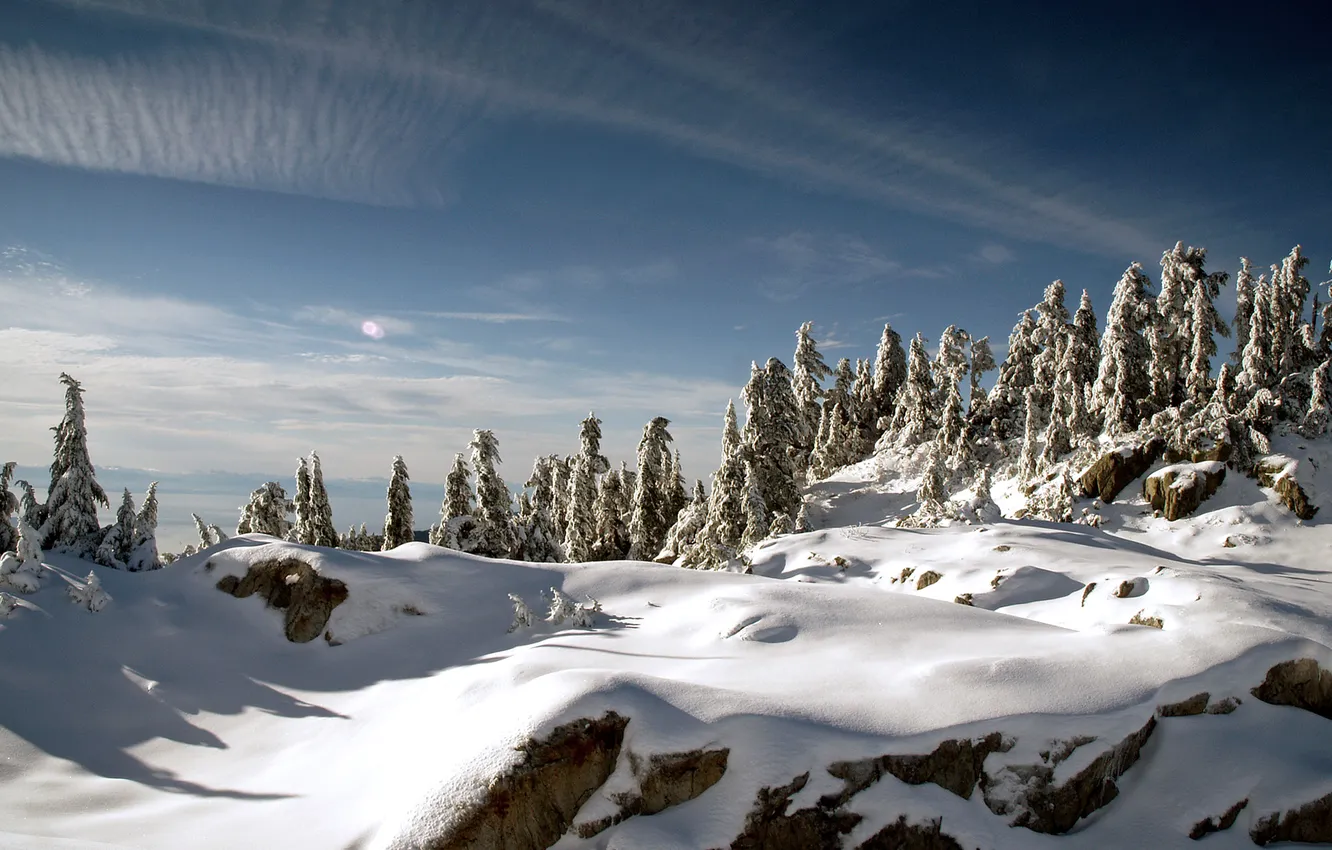 Фото обои зима, лес, небо, снег, горы