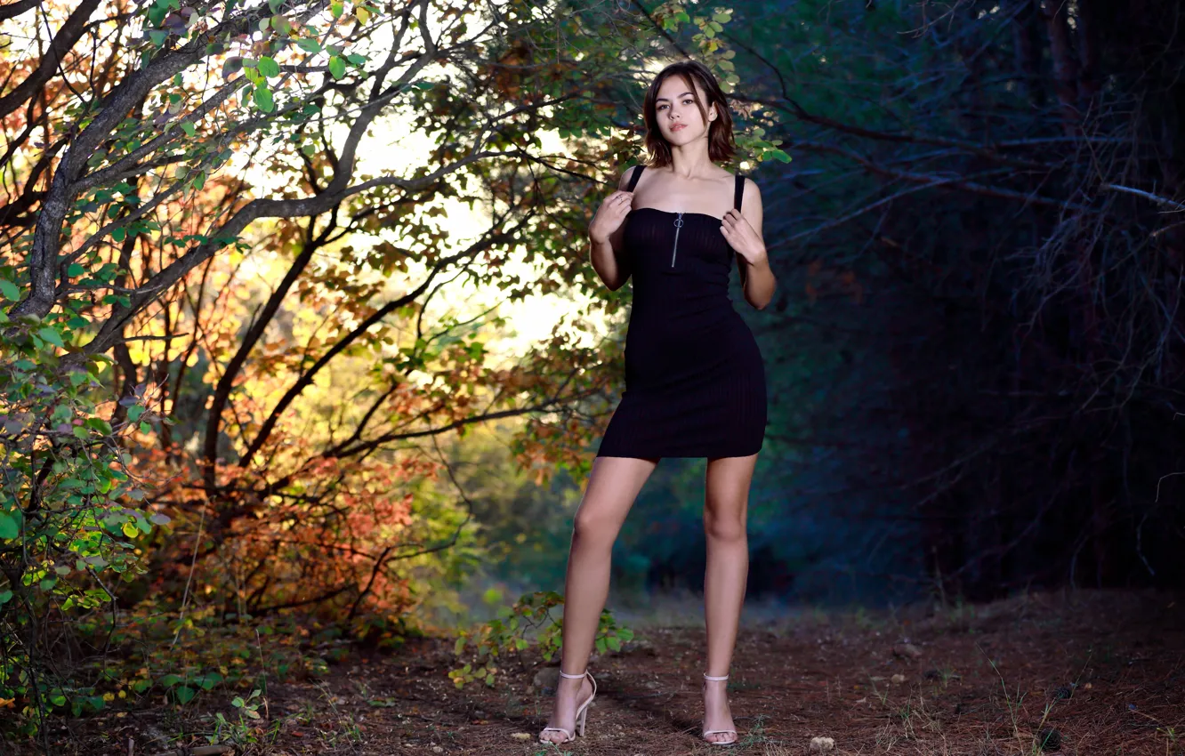 Фото обои forest, hot girl, trees, brown hair, nature, leaves, bushes, outside