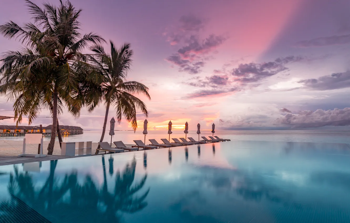 Фото обои pool, sunset, palm tree