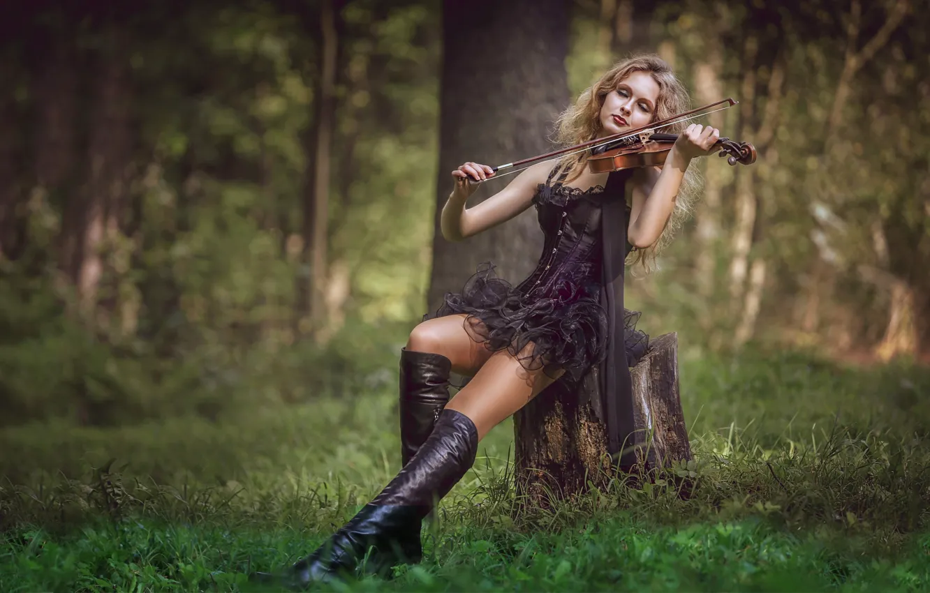 Фото обои лес, девушка, музыка, настроение, скрипка, пень, сапоги, платье