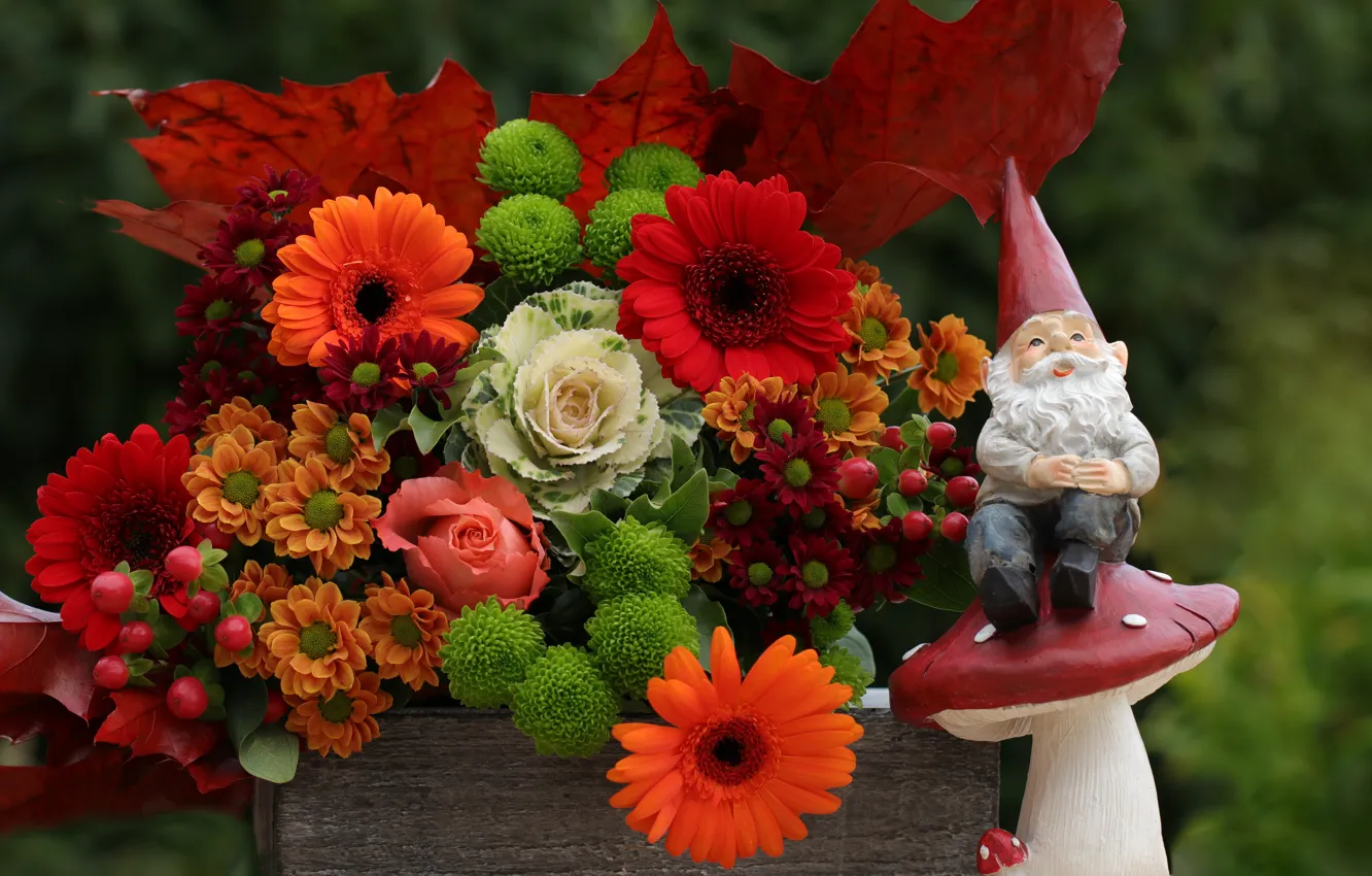 Фото обои цветы, игрушка, гриб, букет, сад, мухомор, плоды, зеленые