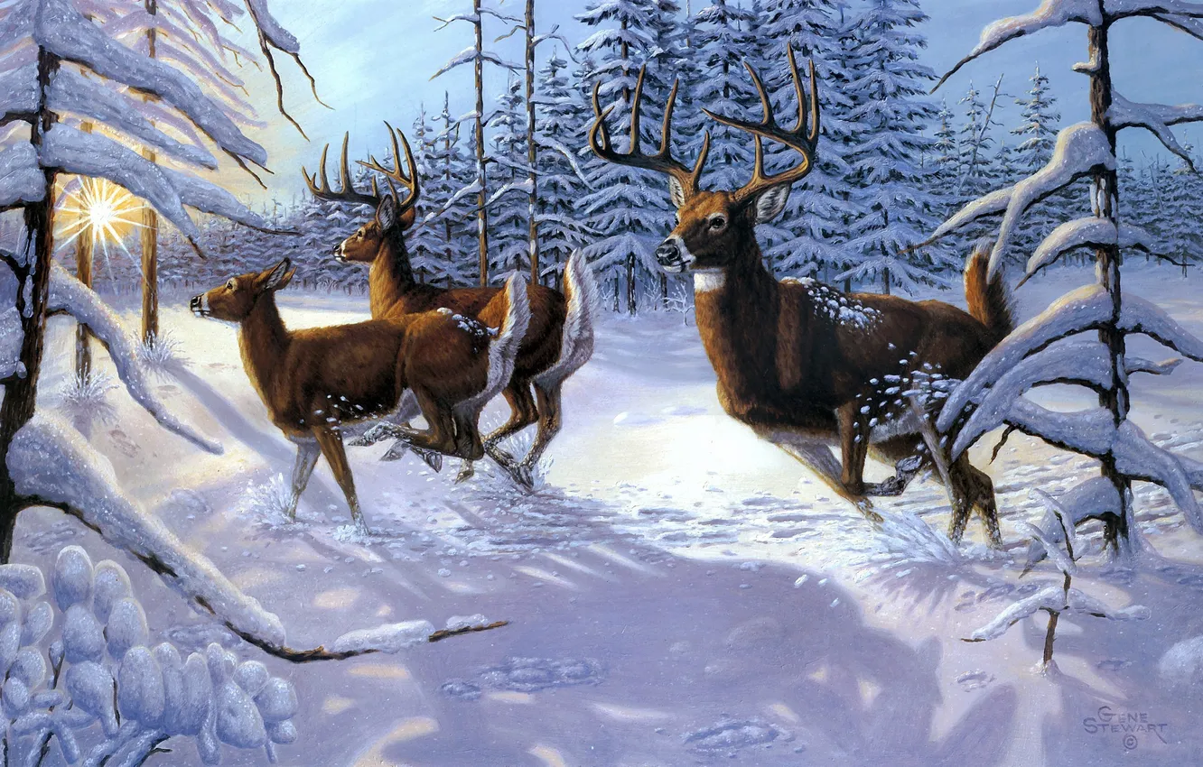 Фото обои зима, лес, животные, солнце, лучи, снег, ель, живопись