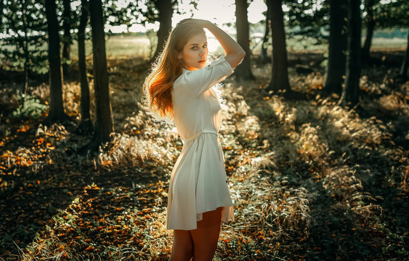 Фото обои взгляд, девушка, солнце, деревья, модель, портрет, макияж, фигура