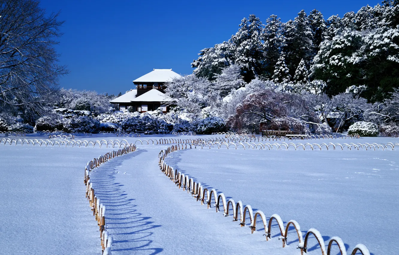 Фото обои зима, небо, снег, деревья, дом