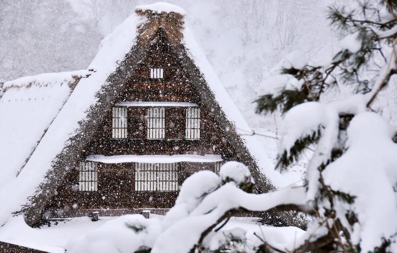 Фото обои Снег, Snow, Snow Trees, Снежные Деревья, Winter House, Зимний Домик