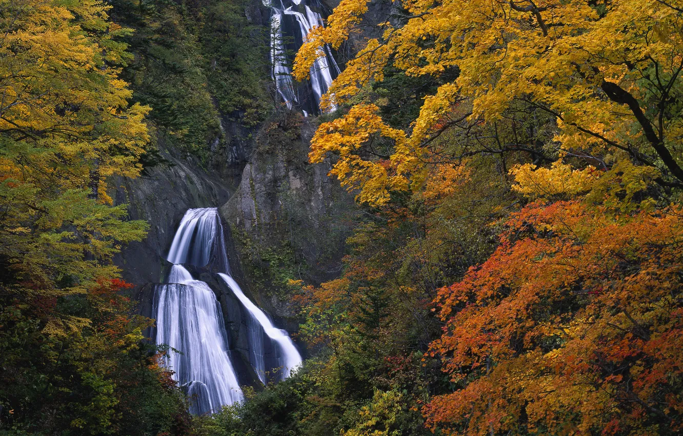 Фото обои осень, скалы, водопад