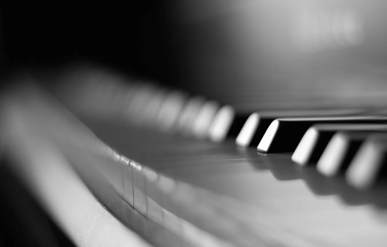 Фото обои макро, клавиши, черно-белое, пианино