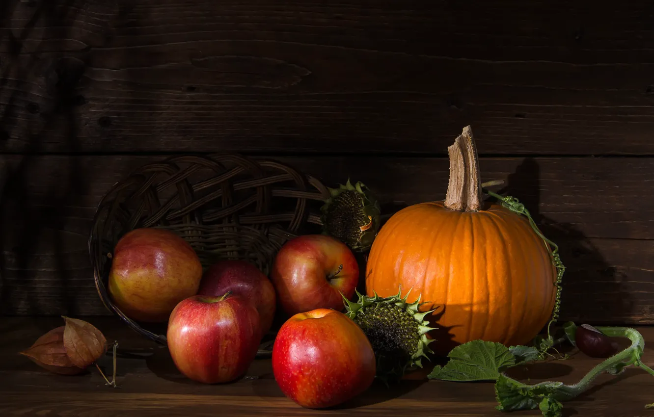 Фото обои подсолнухи, темный фон, яблоки, доски, еда, тыква, натюрморт