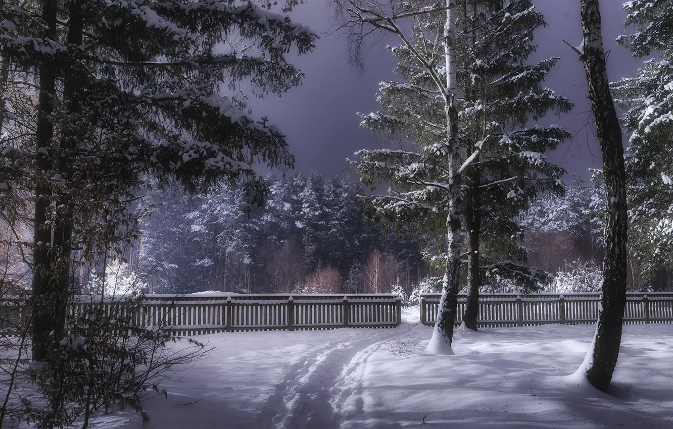 Фото обои зима, лес, снег, деревья, забор, Украина, тропинка, Коростышев