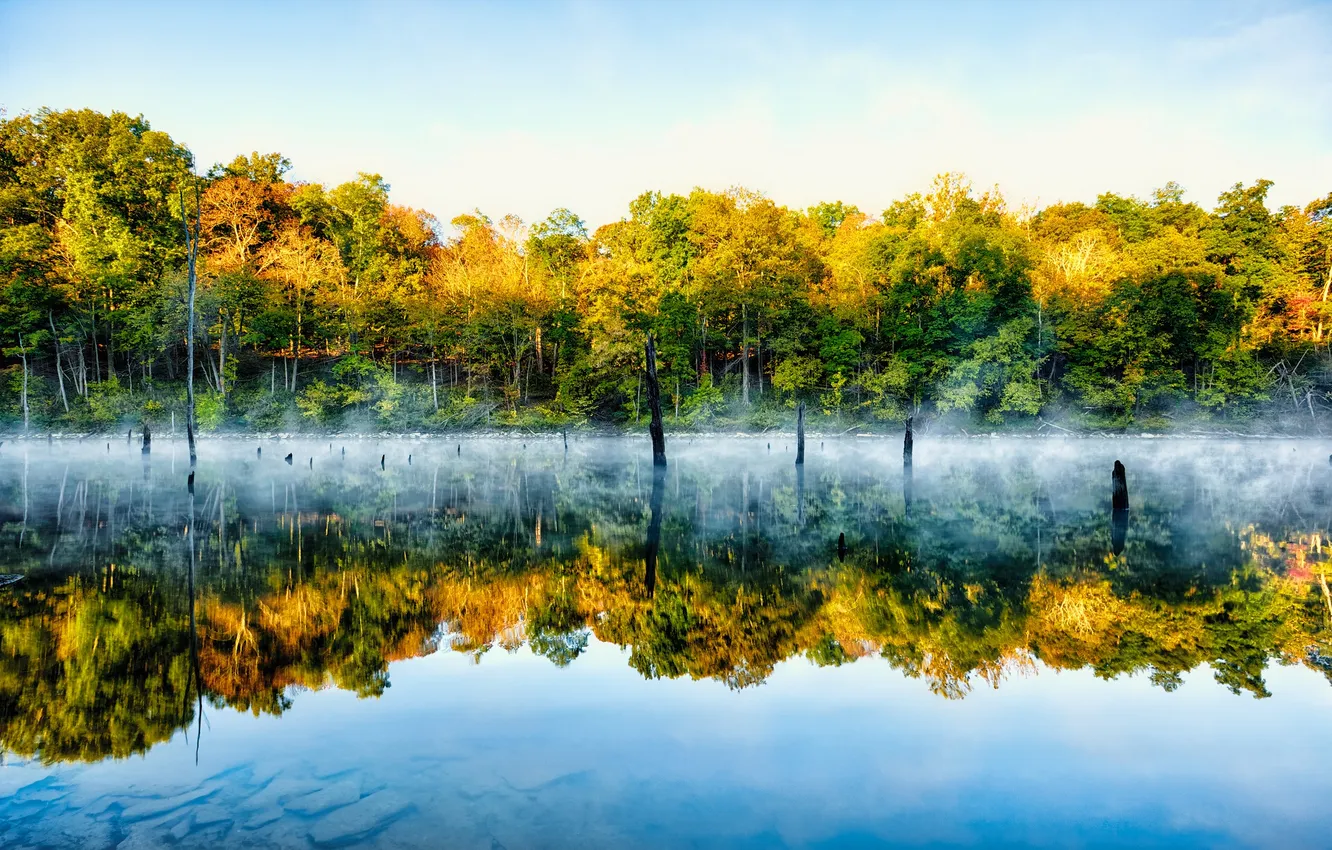 Фото обои небо, деревья, туман, озеро, отражение, зеркало