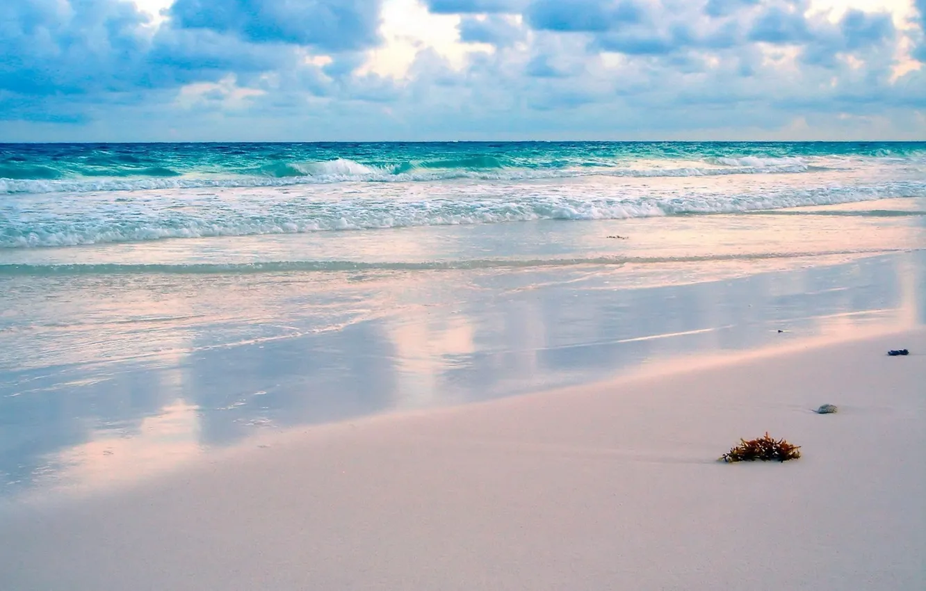 Фото обои песок, пляж, водоросли, пространство, океан