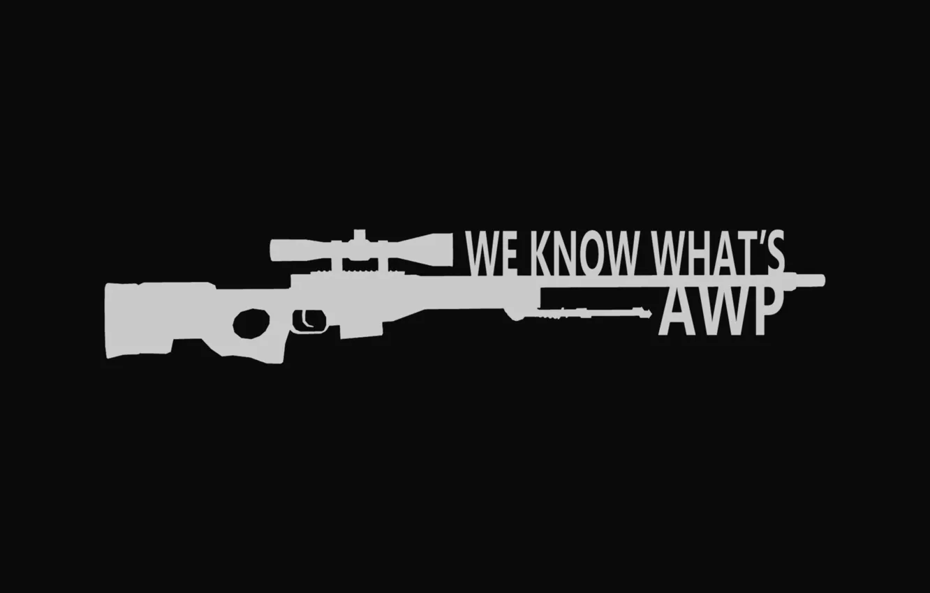 Фото обои awp, sniper rifle, go cs, long range