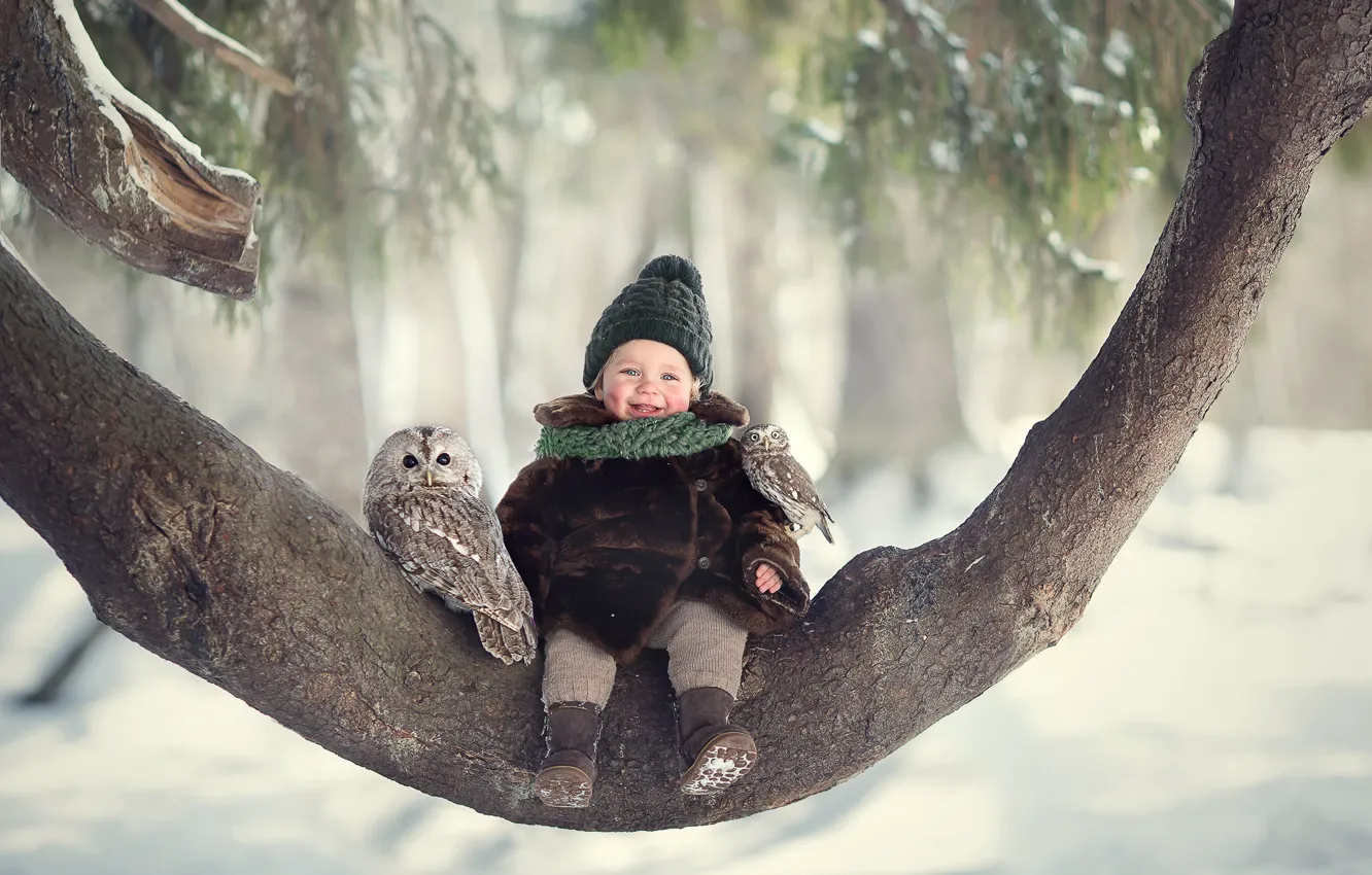 Фото обои зима, радость, птицы, дерево, сова, смех, девочка, малышка