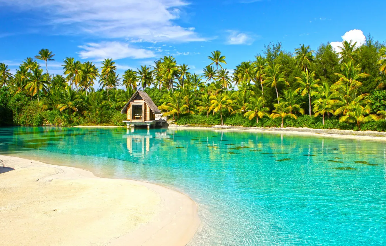 Фото обои пальмы, рай, домик, лагуна, Bora Bora, incredible, aqua, Polynesia