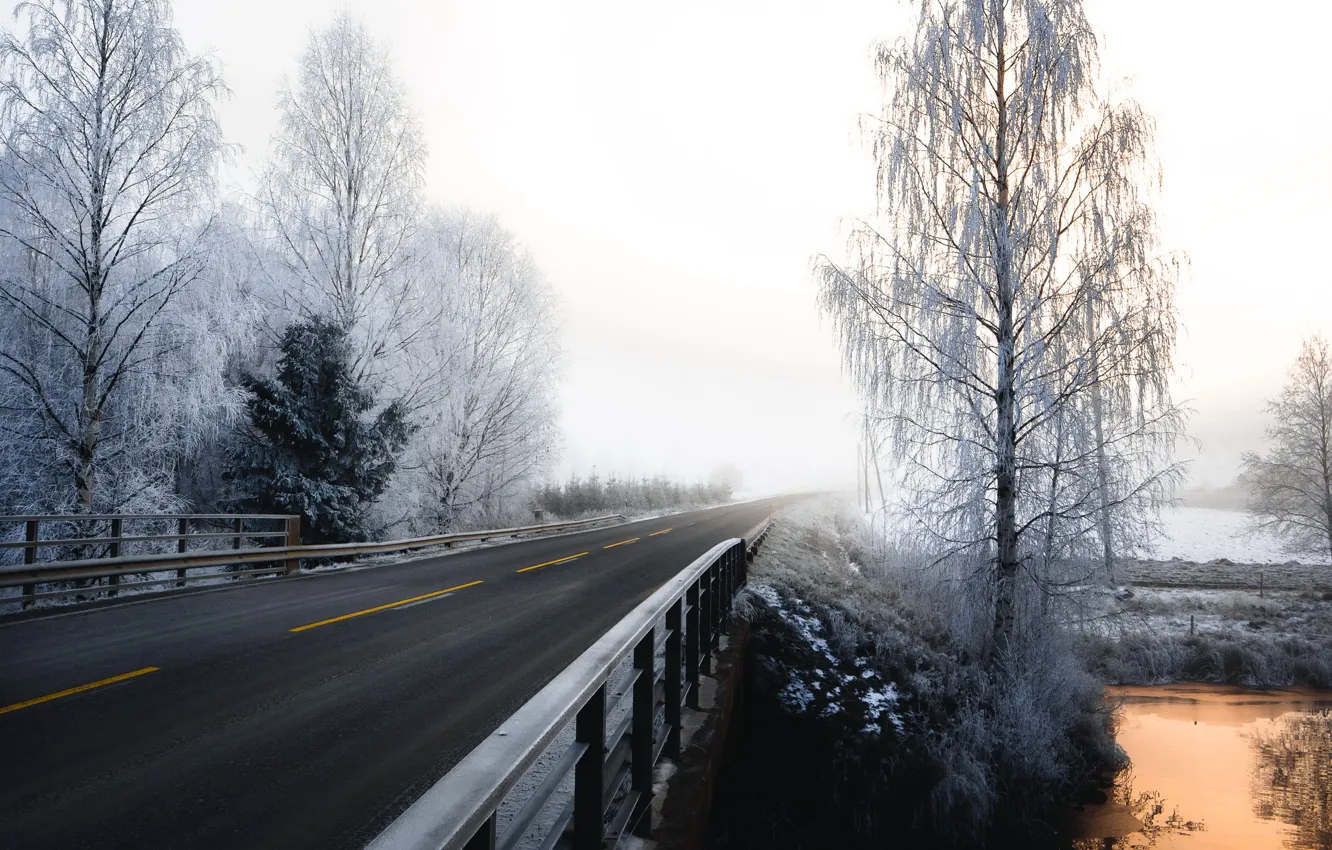 Фото обои зима, дорога, туман, утро