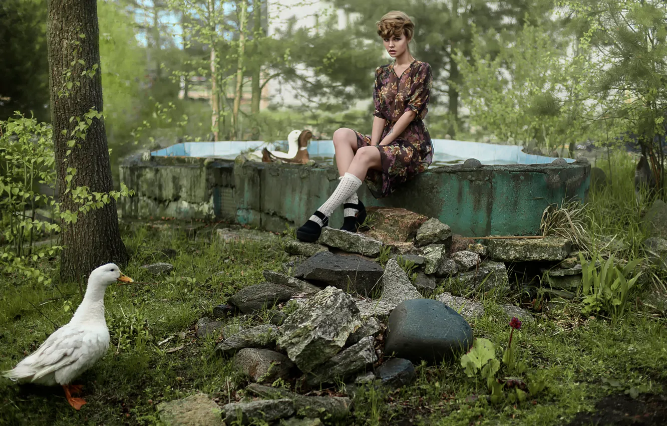 Фото обои платье, причёска, гуси, Настя, Анастасия Щеглова, Tatiana Mercalova
