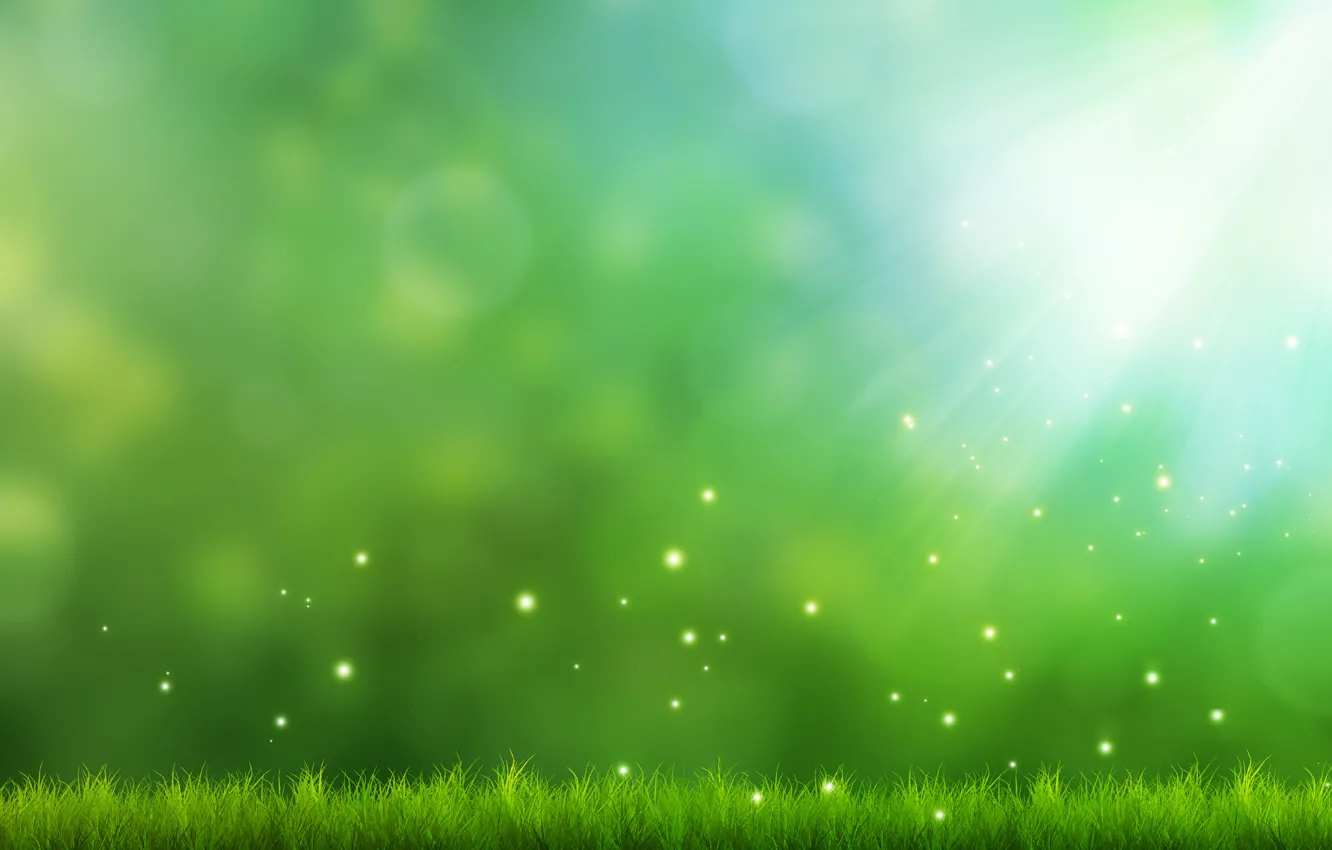 Фото обои зелень, трава, свет, фон, арт, искры