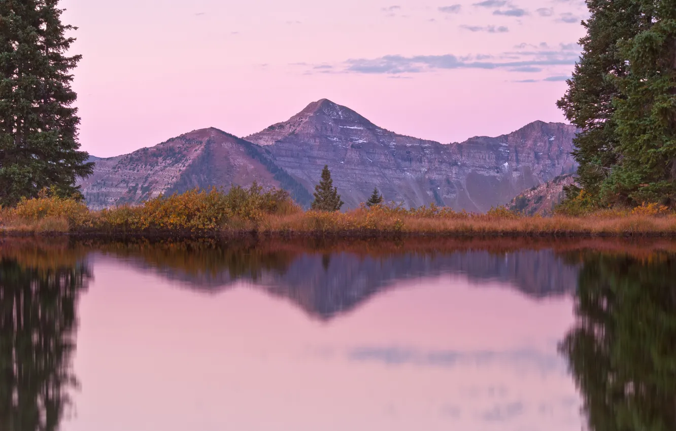 Фото обои лес, горы, озеро, розовое утро