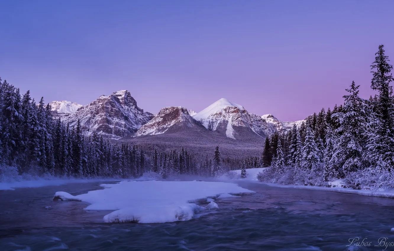 Фото обои зима, лес, снег, горы, река, утро, Канада, Альберта