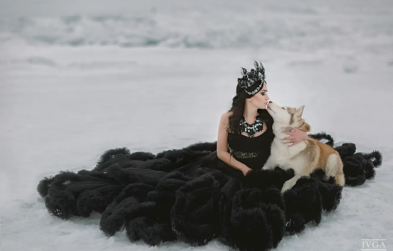 Фото обои девушка, снег, поцелуй, собака, платье