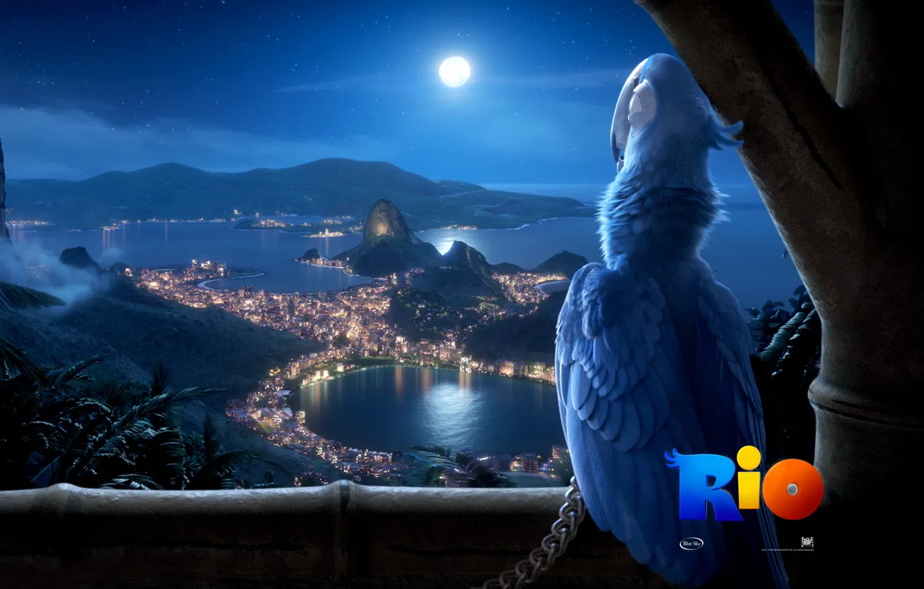 Фото обои птица, Рио, Мультфильм, вид на Рио-де-Жанейро