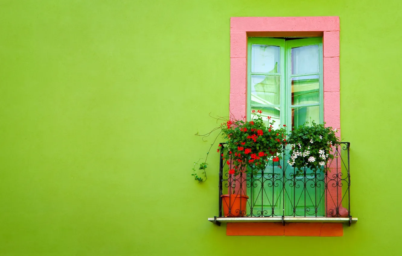 Фото обои зеленый, стена, Окно, балкон