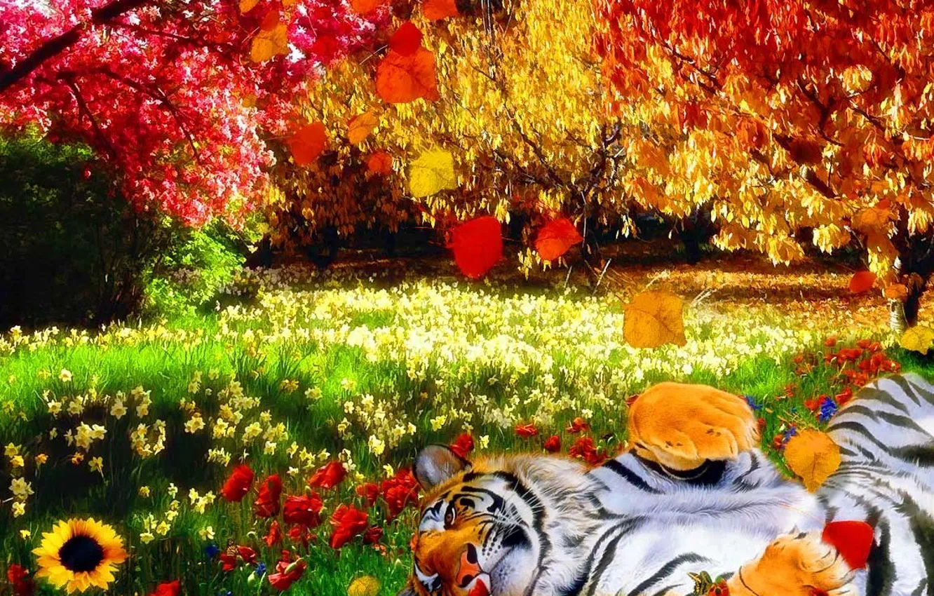 Фото обои трава, листья, яркие краски, деревья, цветы, природа, тигр, тепло