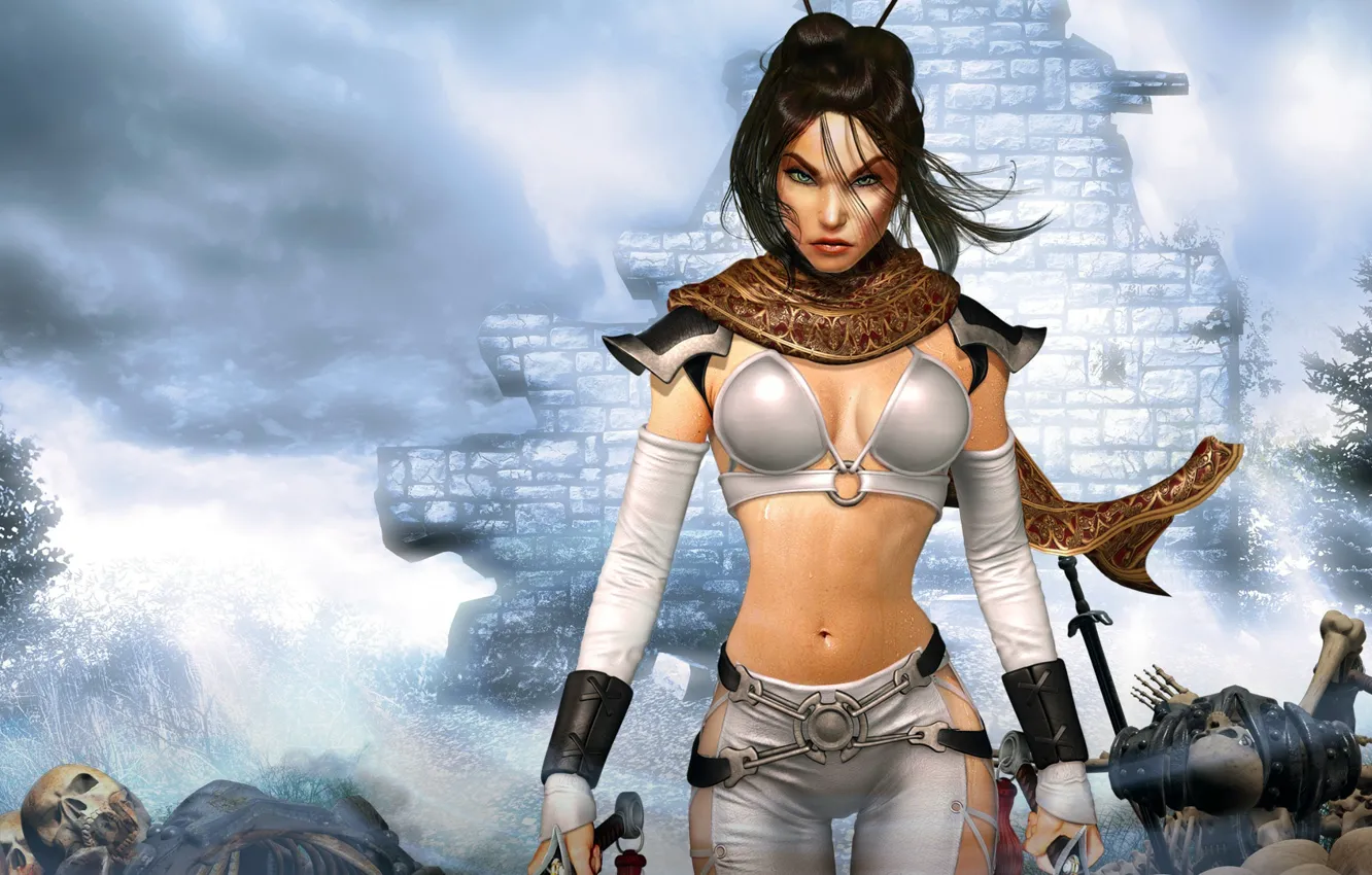 Фото обои компьютерная игра, руби и режь, Action/RPG, Dark Kingdom, Untold Legends, ролевой боевик, Hack and slash