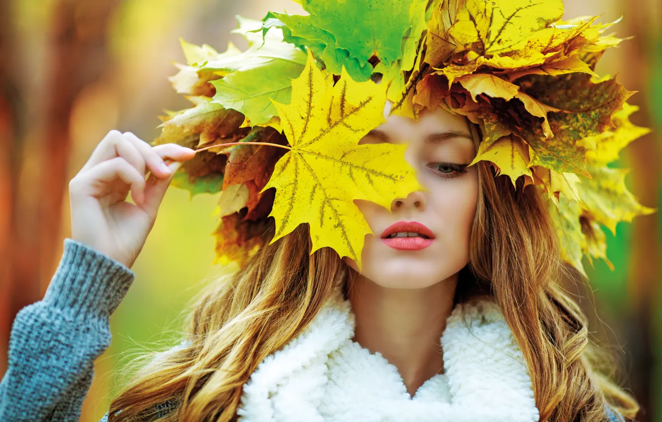 Фото обои осень, девушка, клён, girl, woman, autumn, leaves, fall