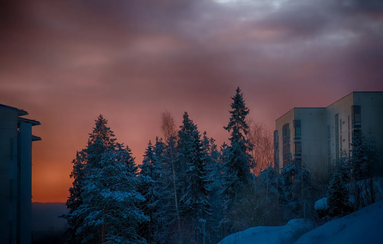 Фото обои деревья, пейзаж, рассвет, дома, Архитектура, Финляндия, Хельсинки