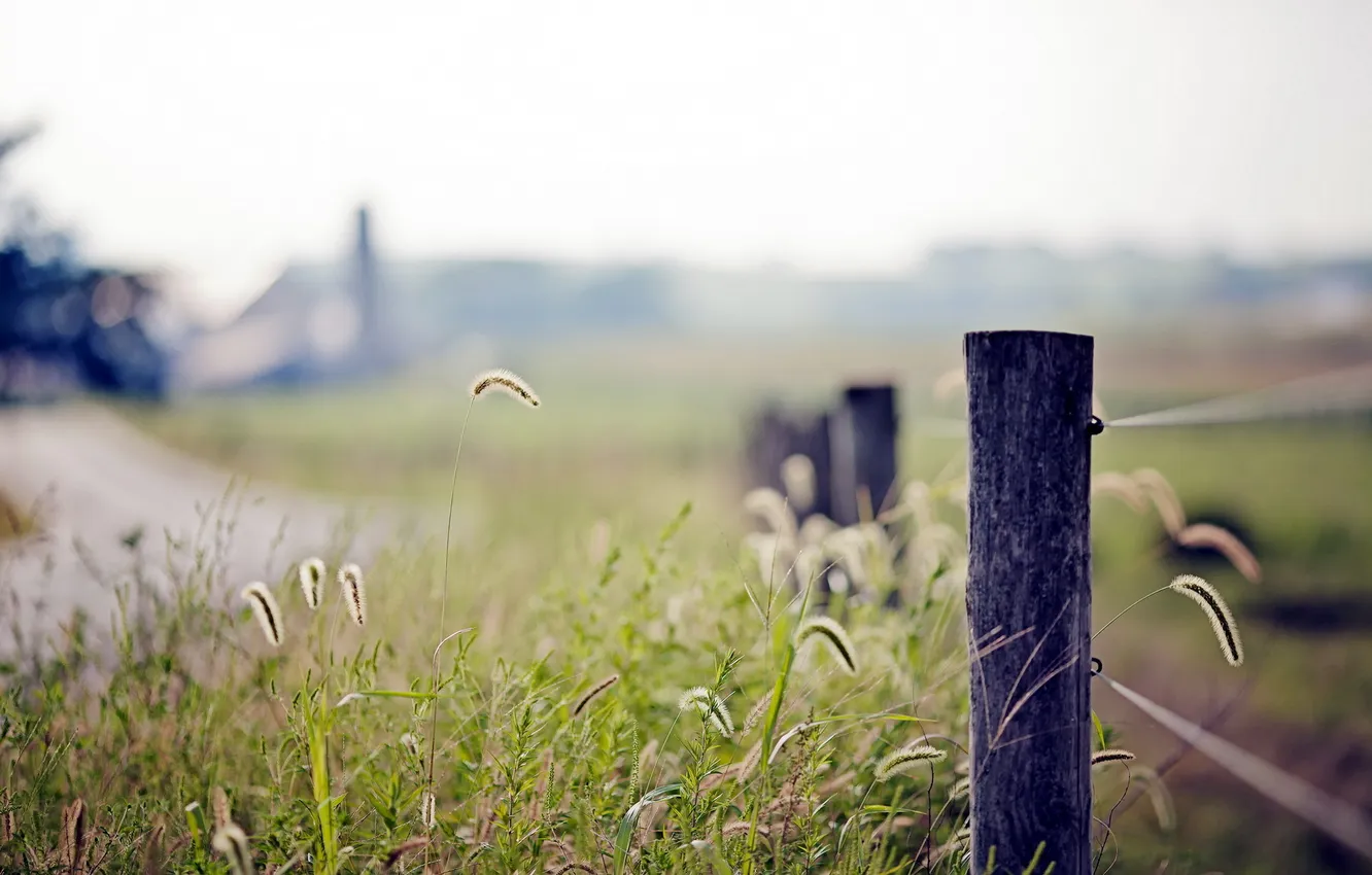 Фото обои трава, макро, природа, забор