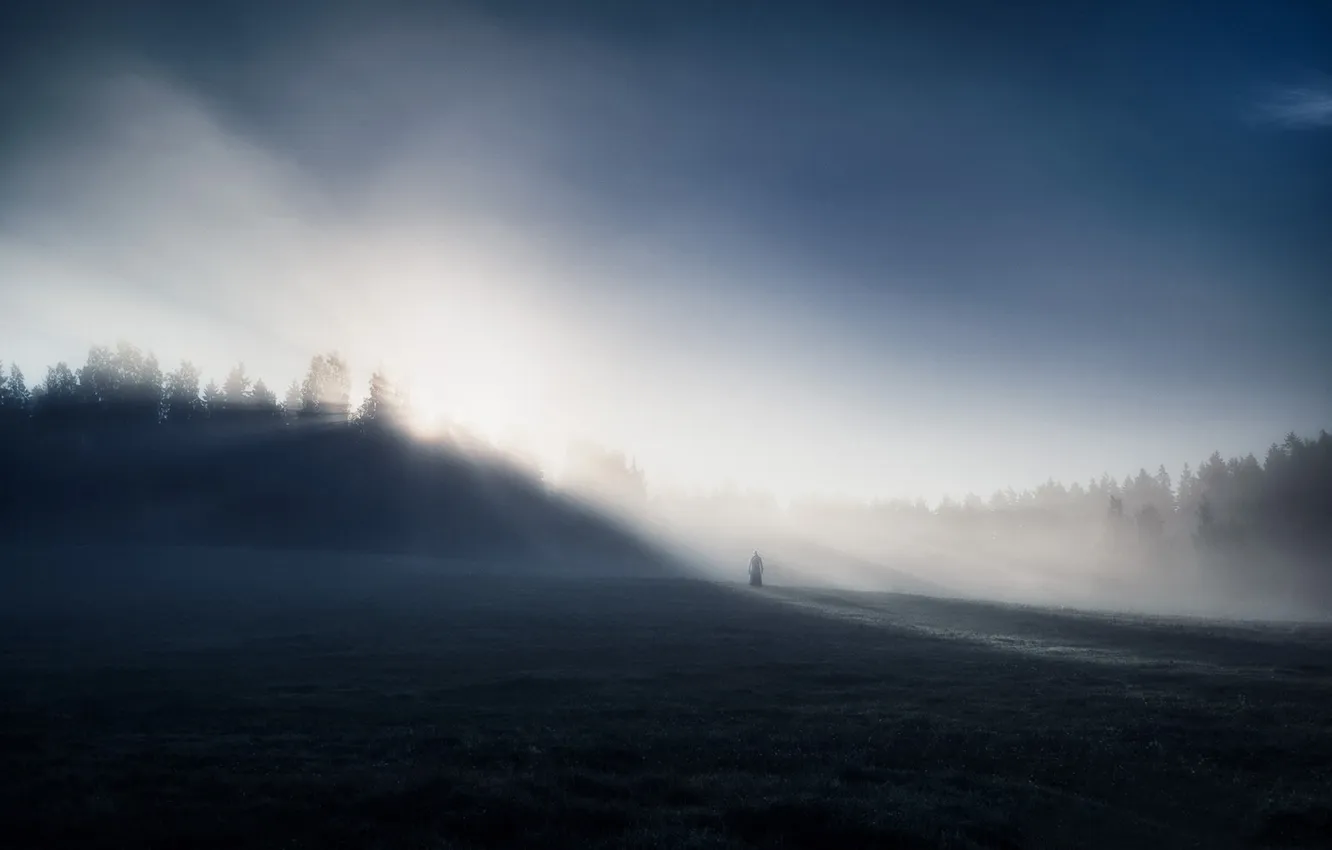 Фото обои поле, туман, утро, фигура