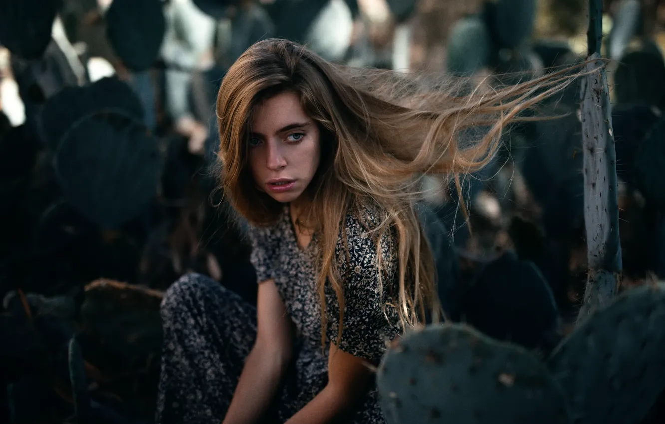 Фото обои волосы, кактус, Marta, Jesse Herzog