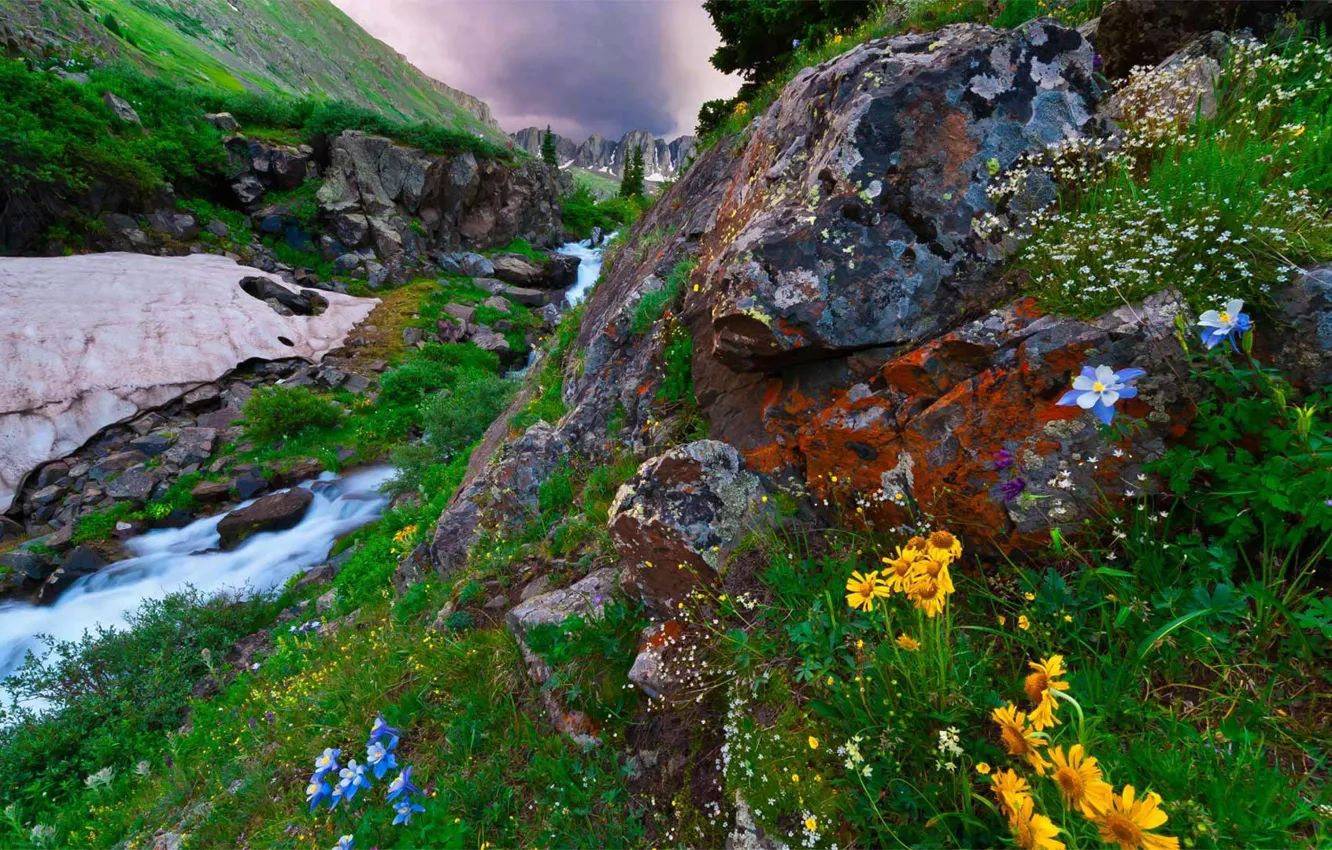 Фото обои пейзаж, горы, природа, ручей, камни, растительность, США, Нью-Мексико