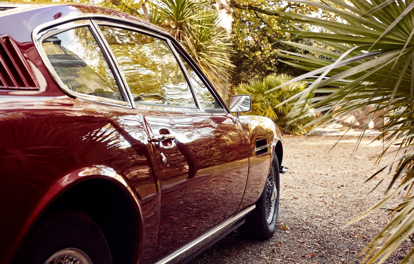 Фото обои пальма, колесо, зеркало, автомобиль, Christoffer Rudquist, Aston Martin DB