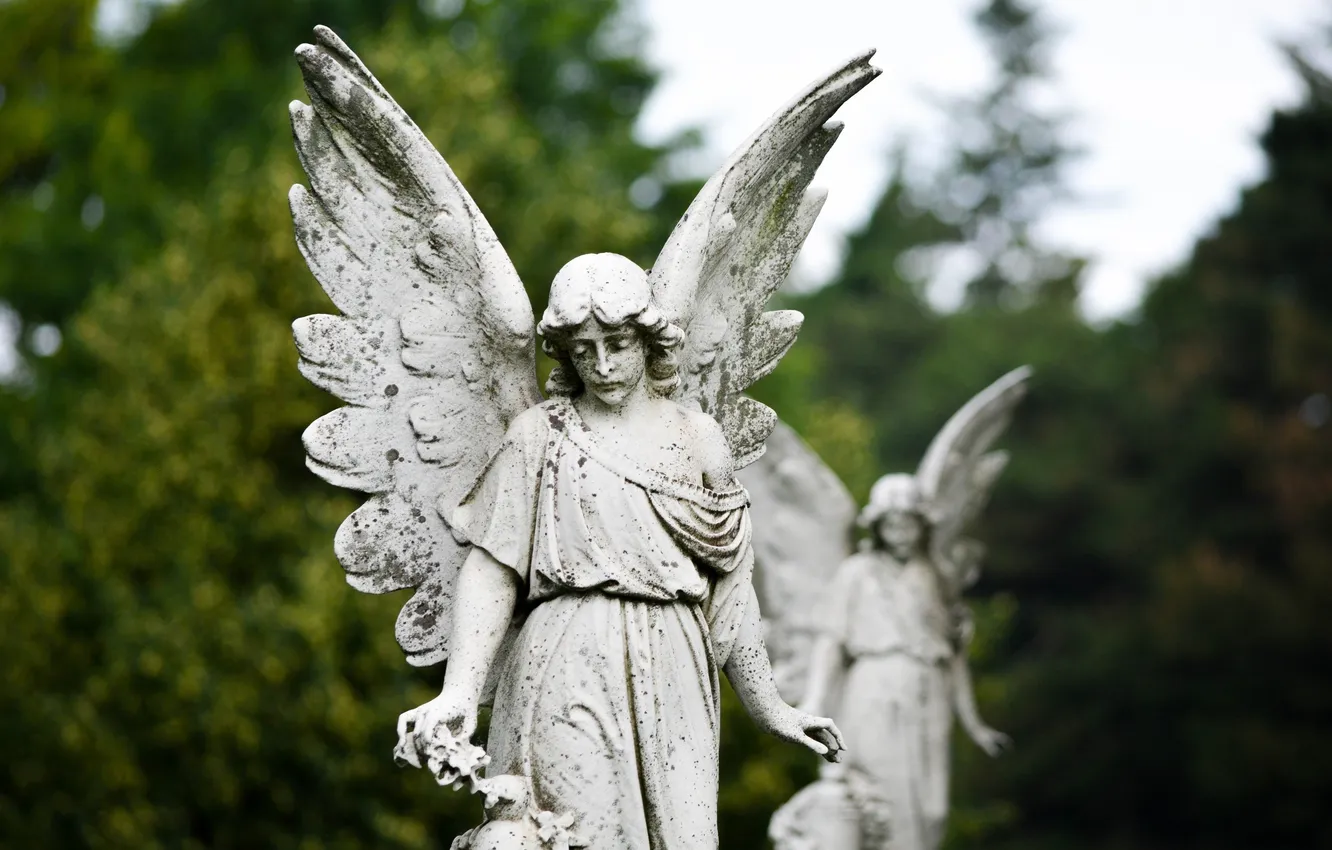 Фото обои город, печаль, крылья, ангел, скульптура