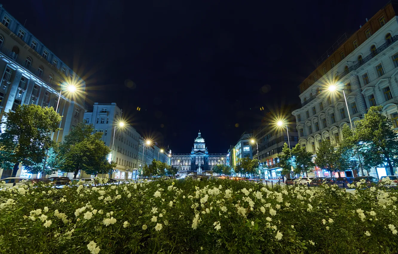 Фото обои деревья, цветы, ночь, город, здания, Прага, Чехия, освещение