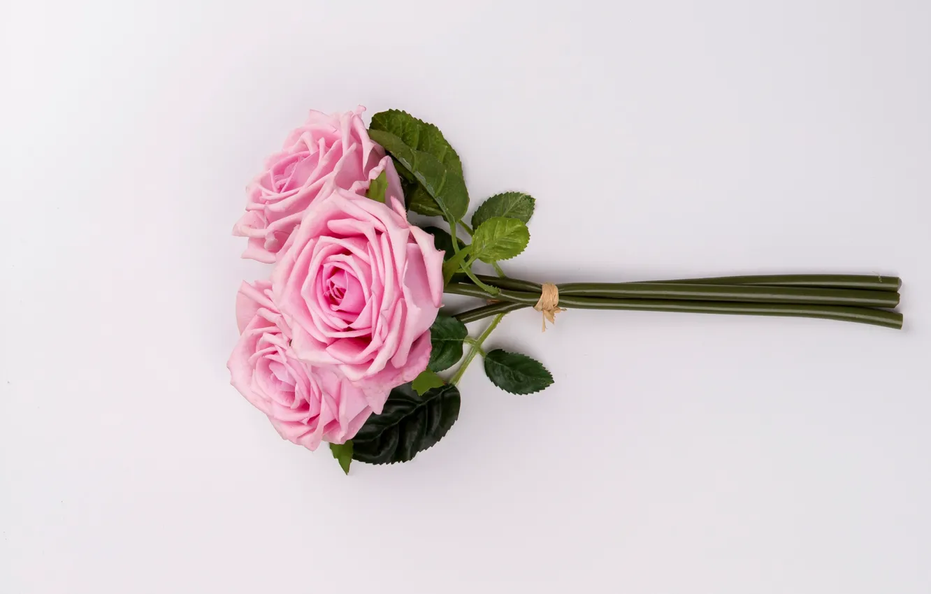 Фото обои цветы, розы, букет, розовые, pink, flowers, roses, tender