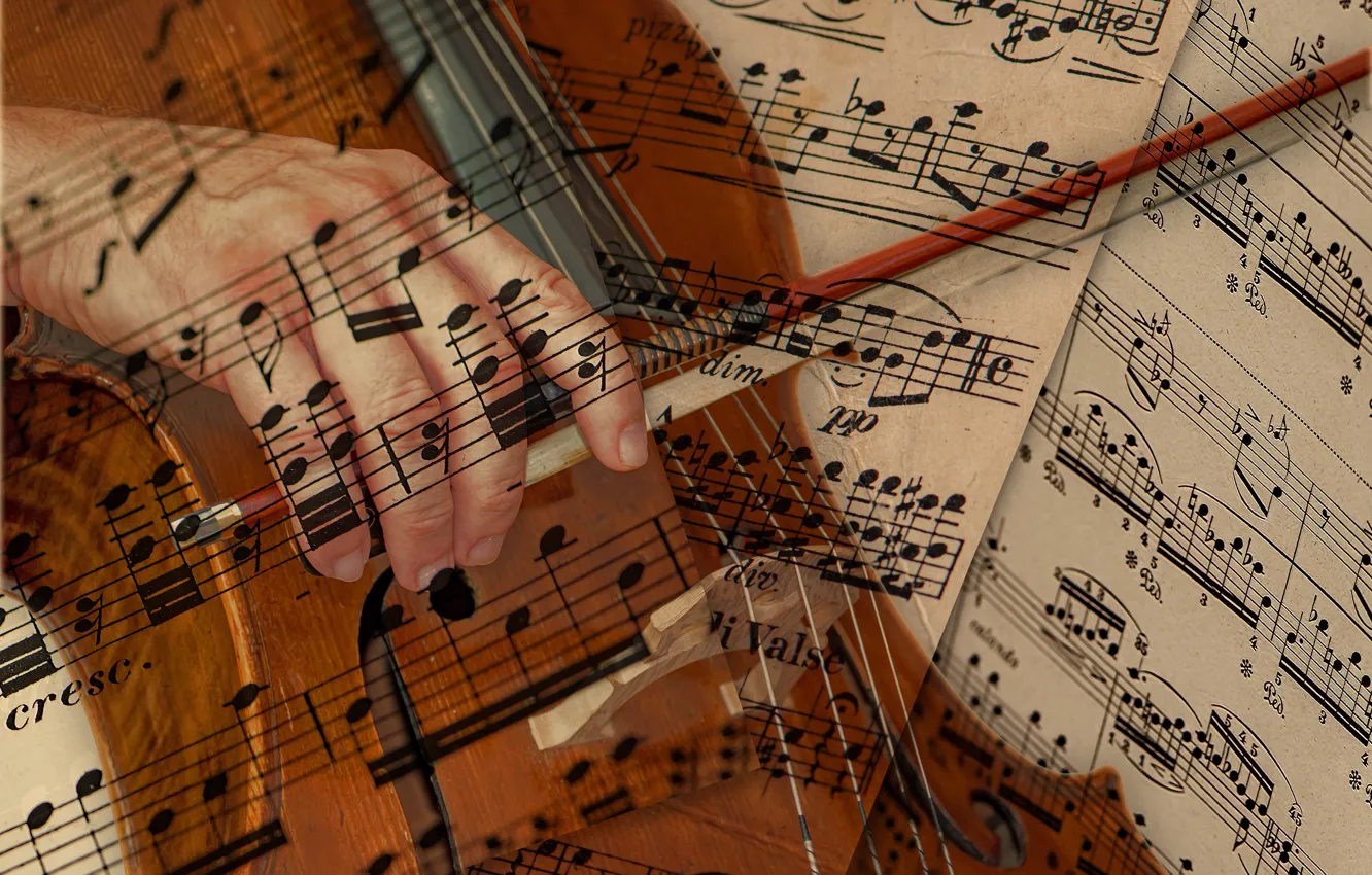 Фото обои ноты, рука, виолончель, смычок