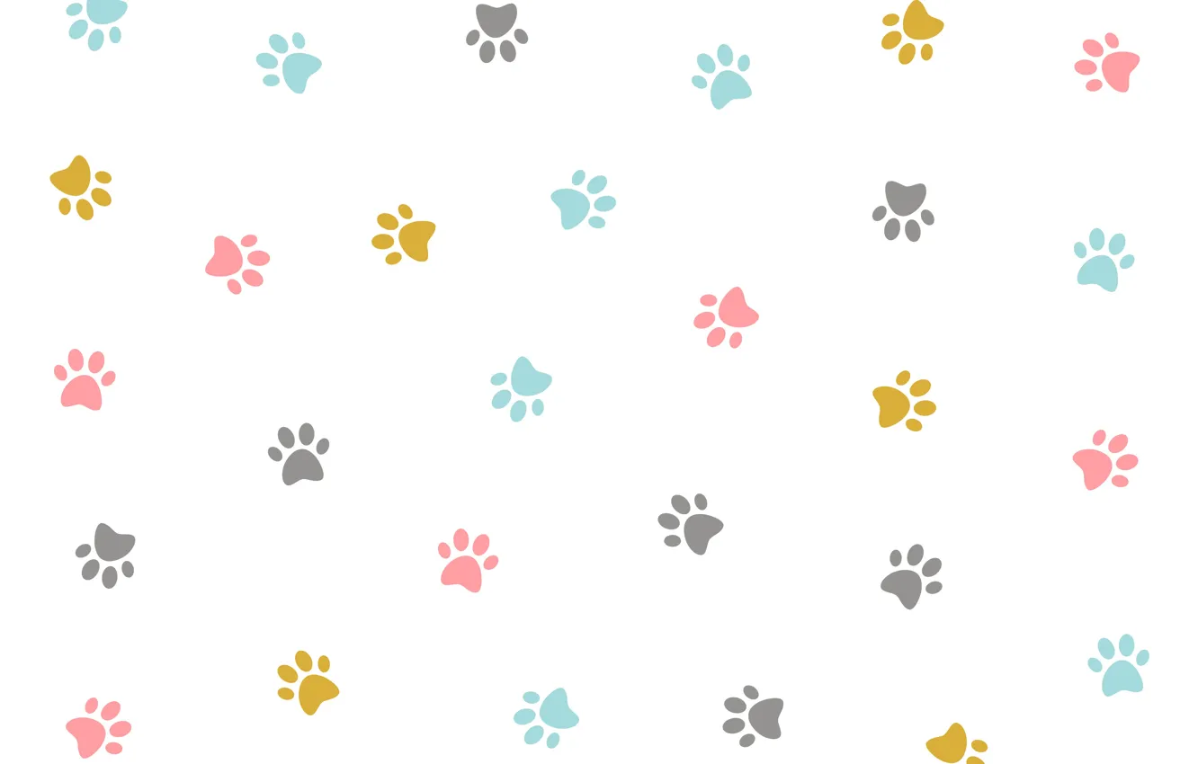 Фото обои текстура, colorful, белый фон, design, kitten, pattern