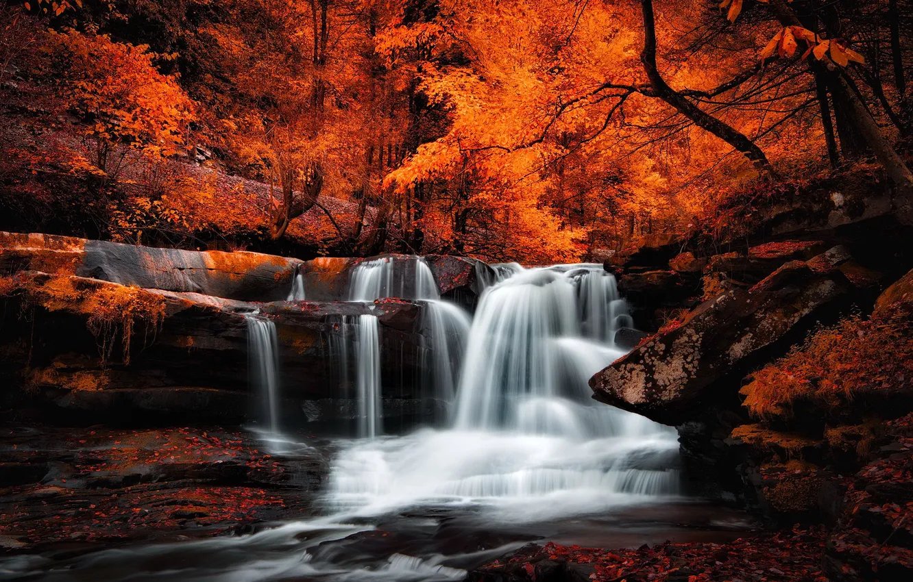 Фото обои лес, камни, листва, водопад, Осень