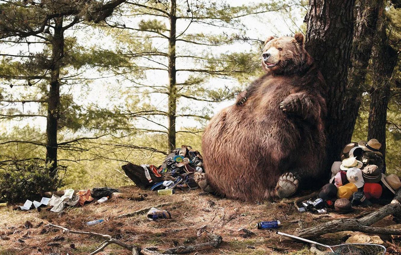 Фото обои мусор, юмор, живот, Медведь